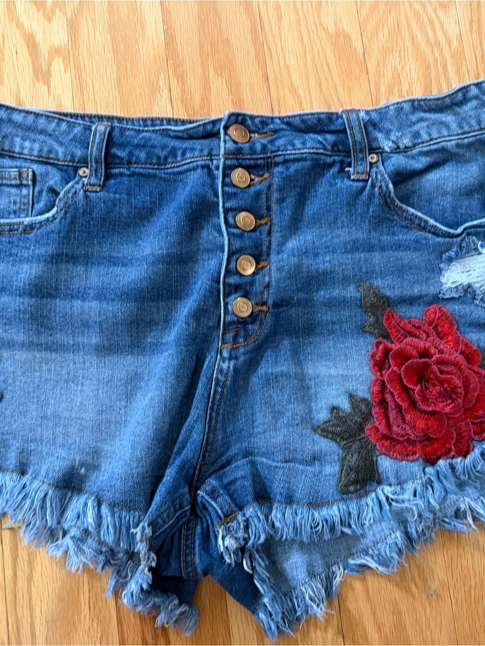 No Boundaries Blue Denim High-Rise Shorts with Red Rose Embroidery
